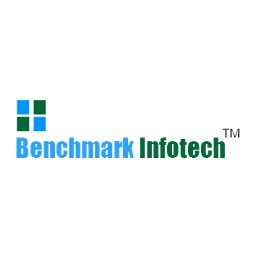 Bench Mark Infotech Services Limited logo