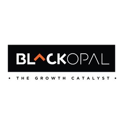 Black Opal Consultants Limited logo