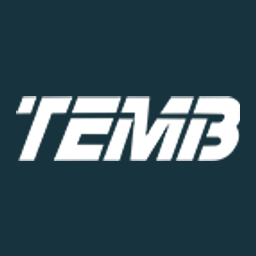 TEMB INTELLIGENT TECH SHANDONG CO logo